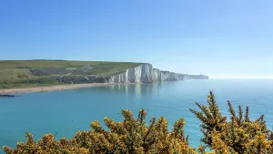 Chalk Prints: Cuckmere Haven in the South Downs National Park