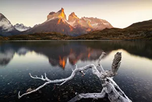 Patagonia Prints: Cuernos del Paine reflected in Lake Nordenskjold during sunrise