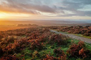 Fern Prints: Curbar Edge at sunrise, Peak District National Park