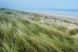 Irish Prints: Curracloe beach, County Wexford, Leinster, Republic of Ireland (Eire), Europe