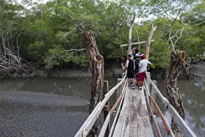 Viewing Platform Prints: Curu Wildlife Reserve, Costa Rica, Central America