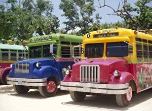Buses Prints: Custom painted buses