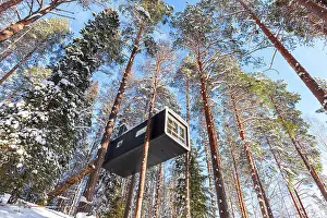 Harads Prints: Cutting-edge accommodation inside a snow covered forest with tall trees covered with snow in Swedish Lapland