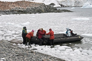 Images Dated 21st February 2009: Cuverville Island, Antarctic Peninsula, Antarctica, Polar Regions
