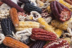 Images Dated 17th October 2009: Cuzco, Peru, South America