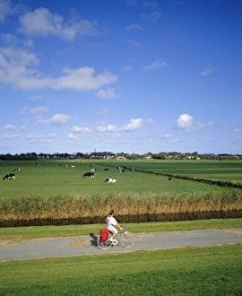Friesland Prints: Cycling on the island of Schiermonnikoog