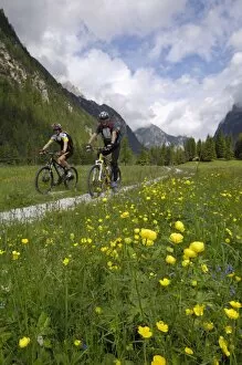 Cyclists riding through an alpine meadow, Valle di Landro, Hohlensteintal