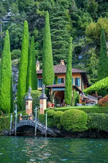 Gardening Prints: Cypress trees surround a villa on the shores of Lake Como with a clear view of the water in Italy