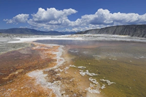 Hot Springs Prints: D2x070604231