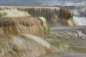 Hot Springs Prints: D2x070605215
