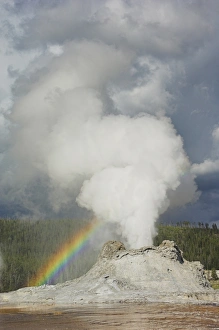 Eruption Prints: D2x070608148