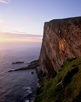 Foula Prints: Da Rokness vertical cliff at sunset, with puffins, Foula, Shetland Islands