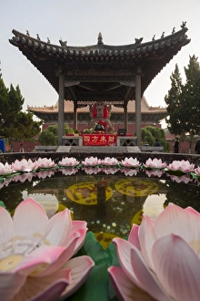 Petal Prints: Dai Temple, Taian, Shandong province, China, Asia