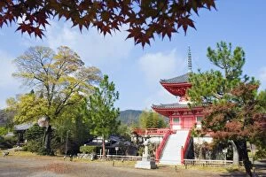 Images Dated 23rd November 2009: Daikaku ji (Daikakuji) Temple, dating from 876, Sagano area, Kyoto, Japan, Asia