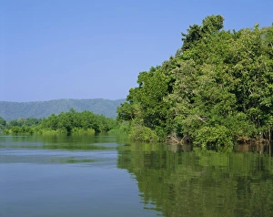 Cape Tribulation Prints: Daintree River, Cape Tribulation National Park, Queensland, Australia