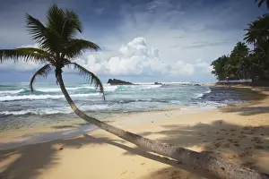 Southern Province Prints: Dalawela beach, Southern Province, Sri Lanka, Asia