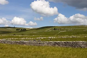 North Yorkshire Prints: The Dales Way footpath, drystone walls and limestone scenery, Grassington