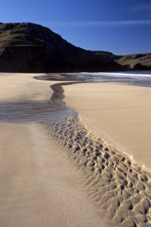 Dalmore Bay