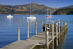 Dalys Wharf in French Bay, Akaroa, Banks Peninsula, Canterbury District, South Island, New Zealand, Pacific