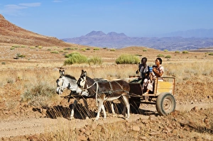 Rural Roads Prints: Damara family, Damaraland, Kunene Region, Namibia, Africa