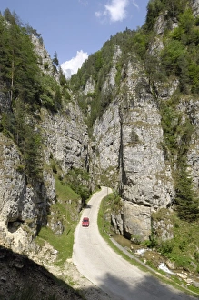 Wallachia Prints: Dambovicioara Gorge, near Podu Dambovitei, Wallachia, Romania, Europe