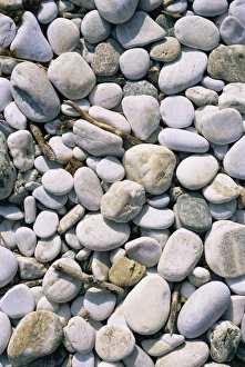 Pelion Prints: Damouchari