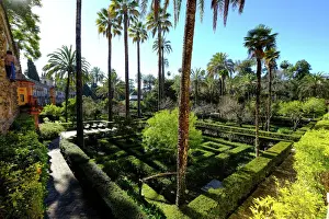 Hedge Prints: Dance Gardens, Real Alcazar, UNESCO World Heritage Site, Seville, Andalucia, Spain