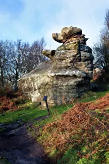 Balance Prints: The Dancing Bear at Brimham Rocks near Summerbridge in Nidderdale