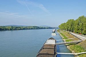 Slovakia Prints: Danube River, Bratislava, Slovakia, Europe