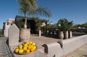 Terraces Prints: Dar Darma Riad, Marrakech, Morocco, North Africa, Africa