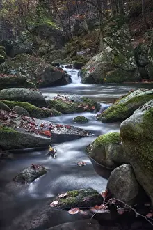 Cascata Del Dardagna Prints: Dardagna Waterfalls in autumn, Parco Regionale del Corno alle Scale, Emilia Romagna