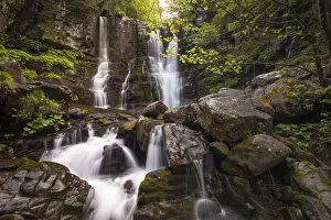Dardagna waterfalls in the wood, flowing between rocks, Emilia Romagna, Italy, Europe Dardagna waterfalls in the wood, flowing between rocks, Emilia Romagna, Italy, Europe