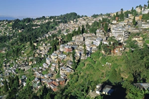 Darjeeling Prints: Darjeeling