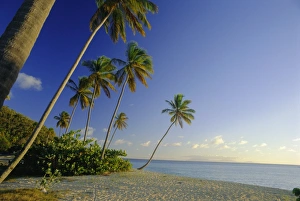 Lean Prints: Darkwood Beach, Antigua, Caribbean, West Indies