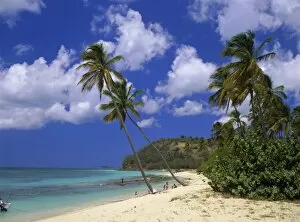 Images Dated 25th July 2008: Darkwood Beach, Antigua, Leeward Islands, Caribbean, West Indies, Central America
