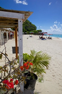 Antigua Prints: Darkwood Beach, St. Johns, Antigua