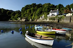Devon Prints: The Dart estuary at Dittisham, South Devon, England, United Kingdom, Europe