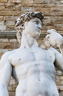 David by Michelangelo dating from the 16th century, Piazza della Signoria, Florence (Firenze), UNESCO World Heritage Site, Tuscany, Italy, Europe David by Michelangelo dating from the 16th century, Piazza della Signoria, Florence (Firenze), UNESCO World Heritage Site, Tuscany, Italy, Europe