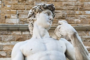 David by Michelangelo dating from the 16th century, Piazza della Signoria, Florence (Firenze), UNESCO World Heritage Site, Tuscany, Italy, Europe