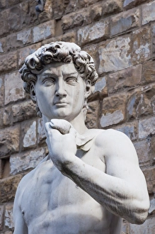 Firenze Prints: The David, by Michelangelo, Palazzo Vecchio