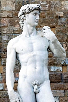 Images Dated 25th April 2009: The David, Piazza della Signoria, Florence (Firenze), UNESCO World Heritage Site