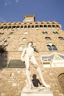 Images Dated 30th May 2007: The David statue, Palazzo Vecchio, Piazza della Signoria, Florence, UNESCO World Heritage Site