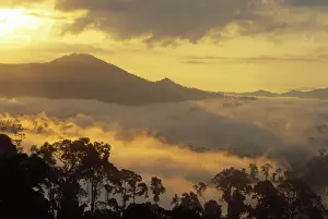 Geography Prints: Dawn over Bukit or Mt. Danum and the virgin dipterocarp rainforest canopy