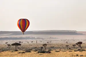 Hot Air Balloon Prints: Dawn hot air balloon ride, Masai Mara National Reserve, Kenya, East Africa, Africa