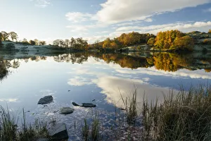 Dawn light at Loughrigg Tarn, Lake District, Cumbria, England, United Kingdom