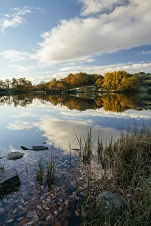 Calm Scene Prints: Dawn light at Loughrigg Tarn, Lake District, Cumbria, England, United Kingdom