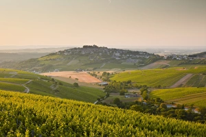 Vine Yard Prints: Dawn light starts to fill the skies above the village and vineyards of Sanerre