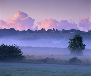 Day Time Prints: Dawn mist, Ewhurst Green, East Sussex, England, United Kingdom, Europe
