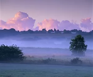 Misty Collection: Dawn mist, Ewhurst Green, East Sussex, England, United Kingdom, Europe