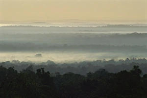 Rain Forest Prints: Dawn over rain forest of Biosphere Reserve, Peten, Guatemala, Central America